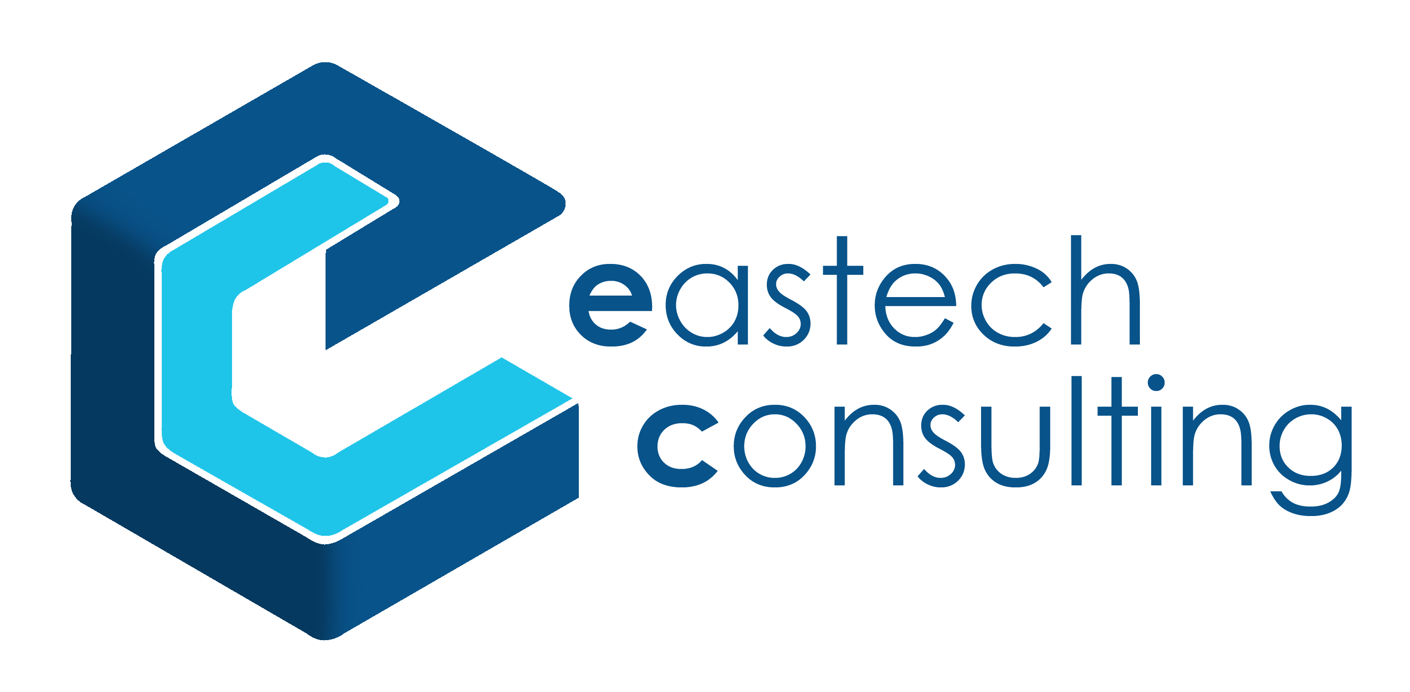 EastechConsulting_logo