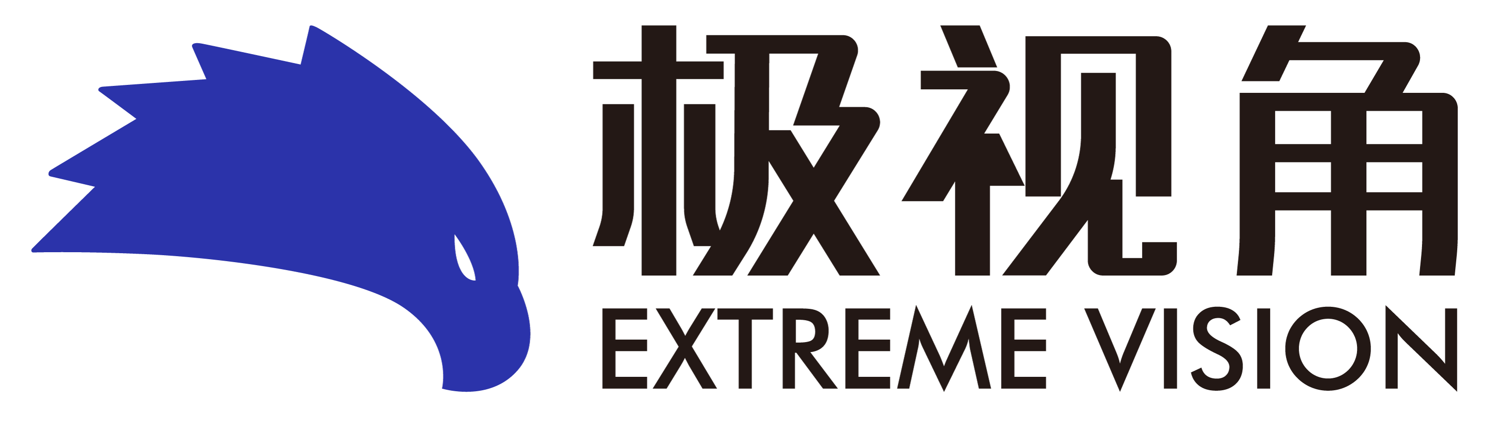 Extreme_Vision_logo